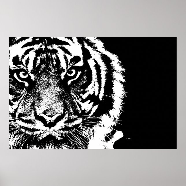 Póster Tigre Borneo de Sumatra Blanco y Negro (Frente)