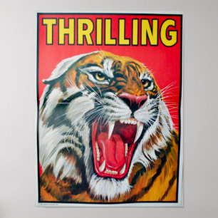 Póster Tigre chillón