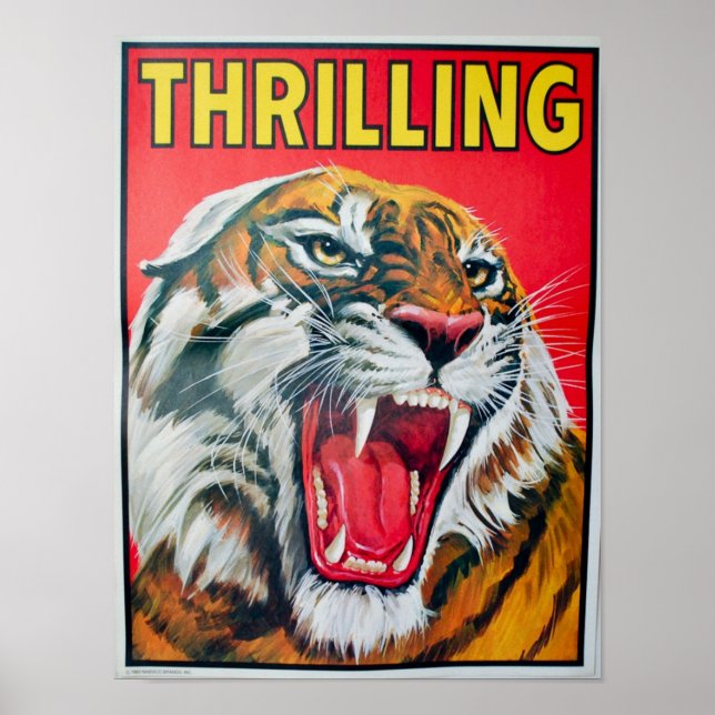 Póster Tigre chillón (Frente)