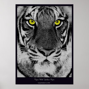 Póster Tigre con los ojos amarillos