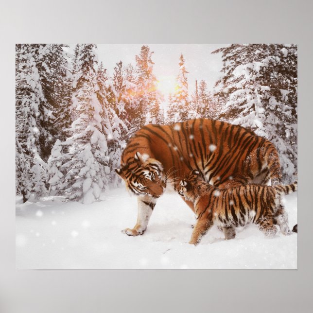 Póster Tigre de mamá e hijo (Frente)