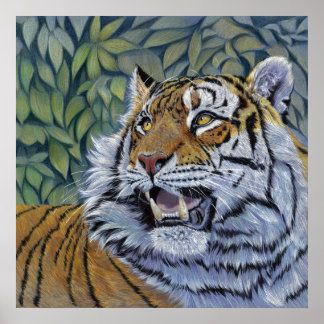 Póster Tigre de schukina С С807