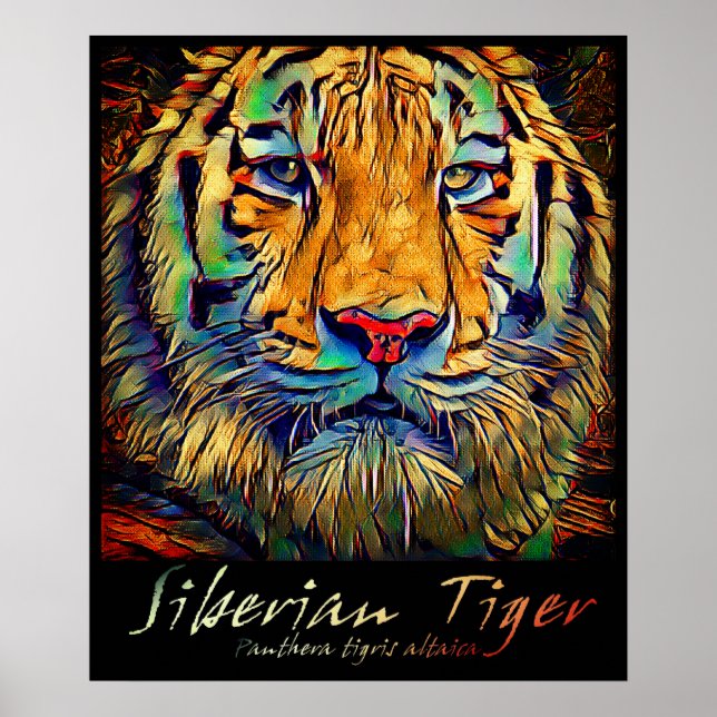 Póster Tigre de Siberia [Póster de Arte] (Frente)