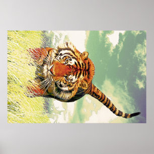 Póster ¡Tigre del tigre!