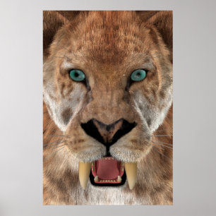 Póster Tigre Dientes de Sable o Smilodon