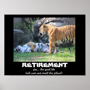 Póster Tigre divertido el dormir (16x12), RETIRO