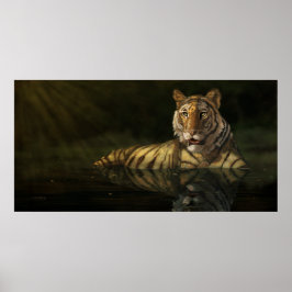 Póster Tigre en la pintura digital del agua