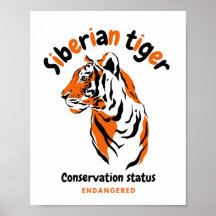 Tigre fresco gato grande en peligro de extinción d