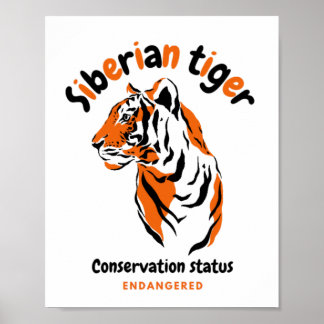Póster Tigre fresco gato grande en peligro de extinción d