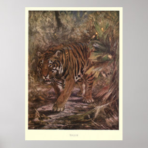 Póster Tigre Painting (1909) del vintage