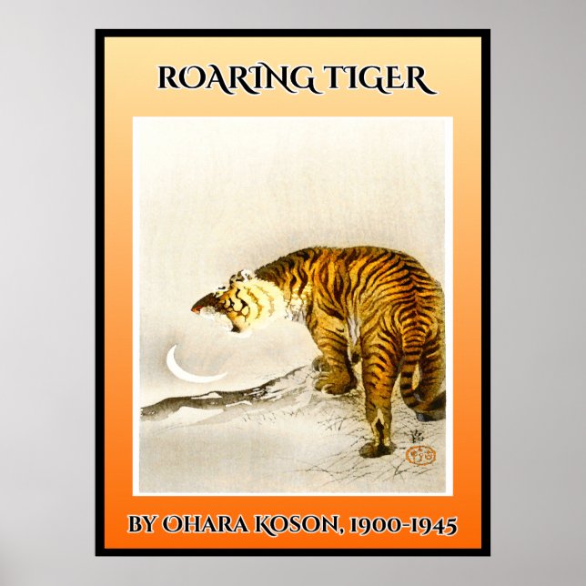 Póster Tigre ruidoso (Frente)