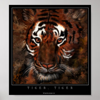Póster Tigre, tigre