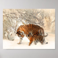 Tigre y cachorro en poster de nieve