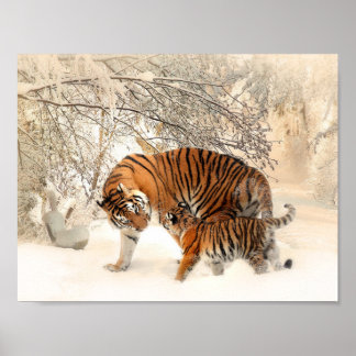Póster Tigre y cachorro en poster de nieve