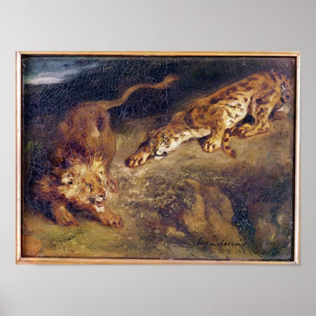 Póster Tigre y león (Frente)