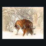 Póster tigres en la nieve<br><div class="desc">Mamá y niño tigre caminando sobre la nieve.</div>