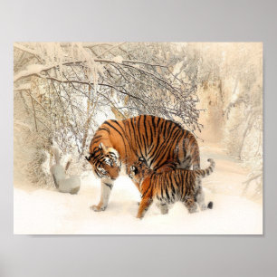 Póster tigres en la nieve