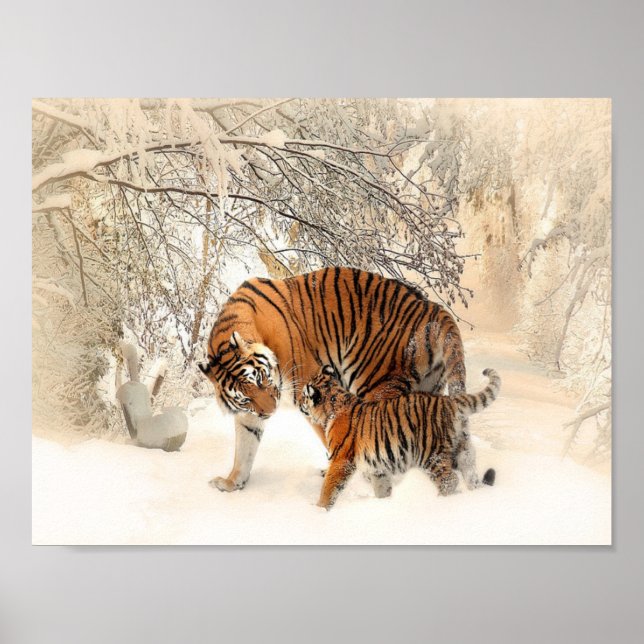 Póster tigres en la nieve (Frente)