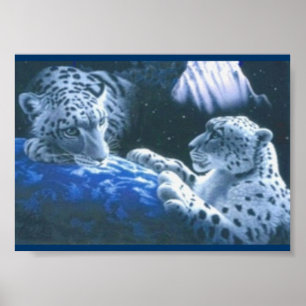 Póster Tigres mágicos
