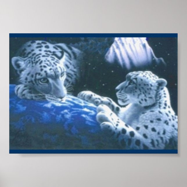 Póster Tigres mágicos (Frente)