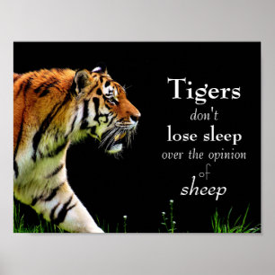 Póster Tigres // Motivación