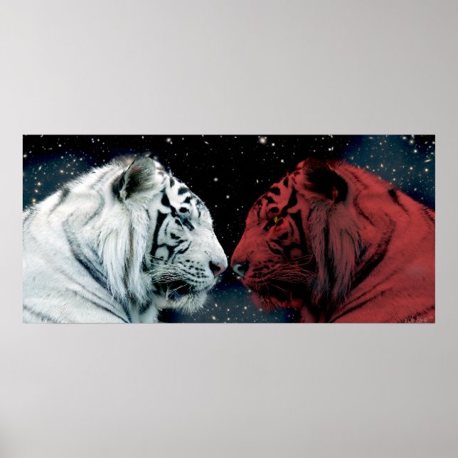 Póster Tigres Rojos y Blancos Enfrentándose (Frente)
