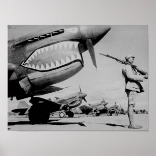 Póster Tigres voladores