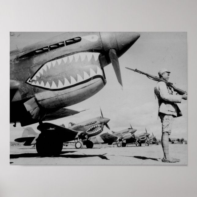 Póster Tigres voladores (Frente)