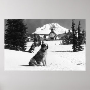 Póster Timberline Lodge y "Lady" la dueña