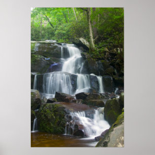 Póster Time Lapse Waterfall Forest