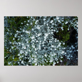 Póster Timeless Journey