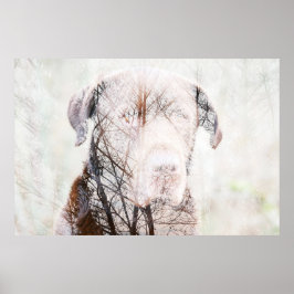 Póster Timeless Journey