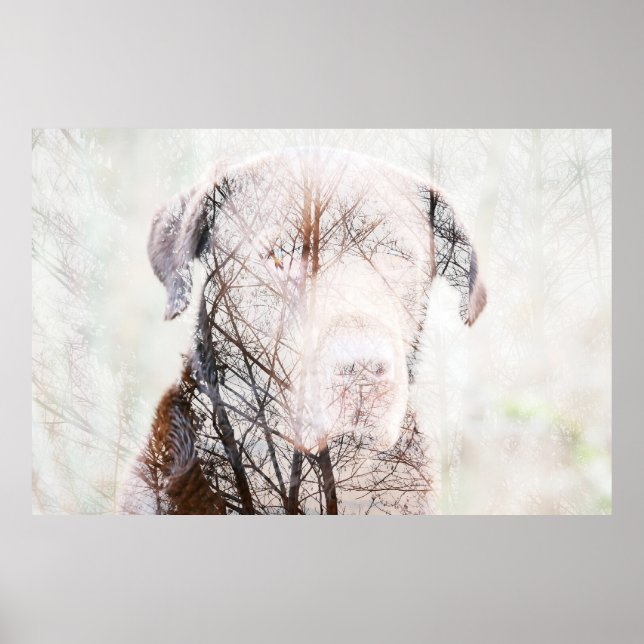 Póster Timeless Journey (Frente)