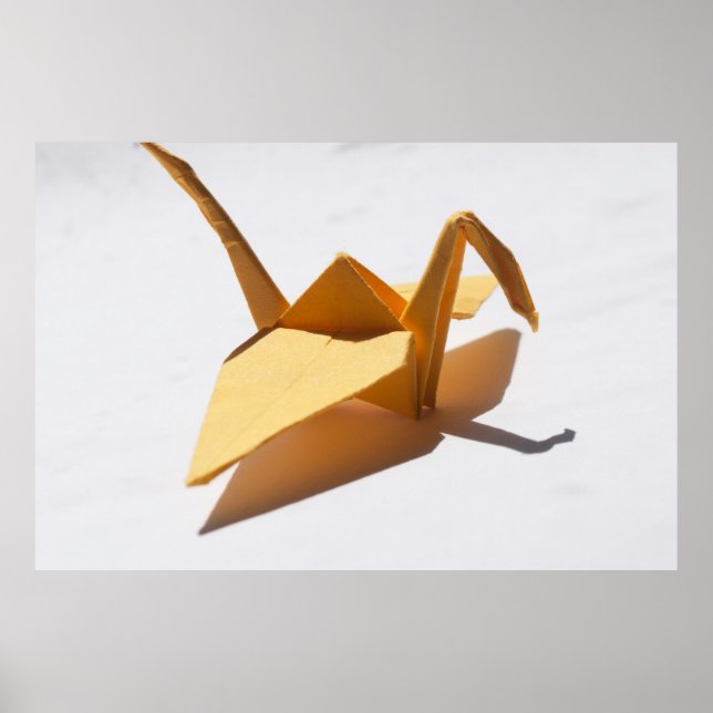 Póster Timeless Journey (Frente)