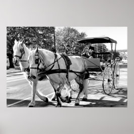 Póster Timeless Journey