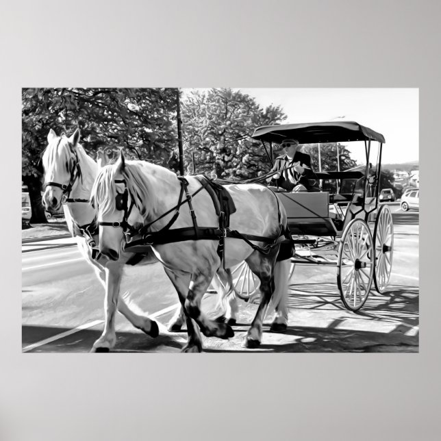 Póster Timeless Journey (Frente)