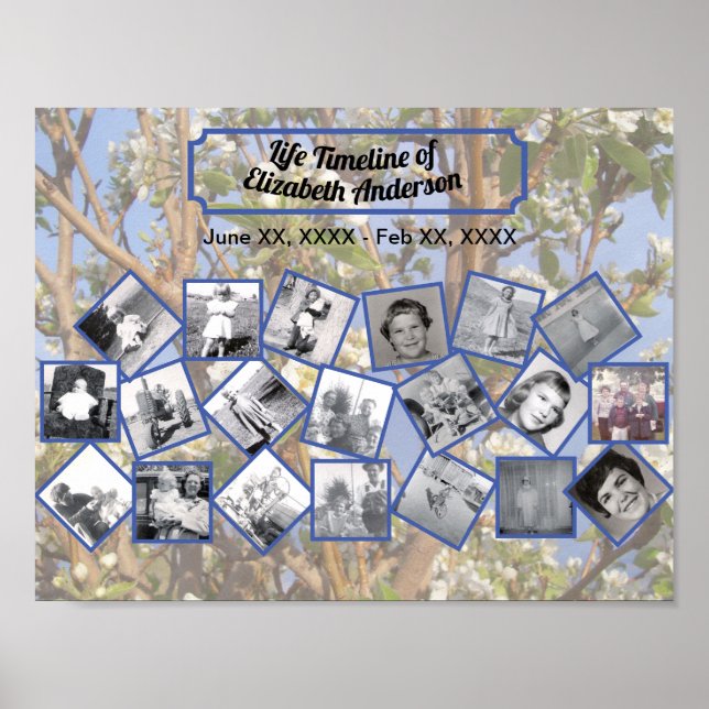 Póster Timeline Photo Collage on White Blossom Tree (Frente)