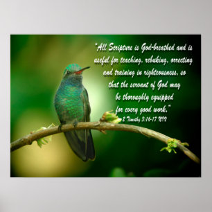Póster Timothy 3:16-17 Christian Poster Hummingbird