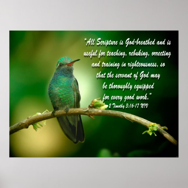 Póster Timothy 3:16-17 Christian Poster Hummingbird (Frente)