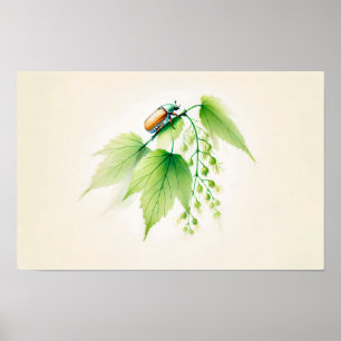 Póster Tinta china puede bug en tilo
