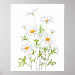 Póster tinta margarita blanca y acuarela