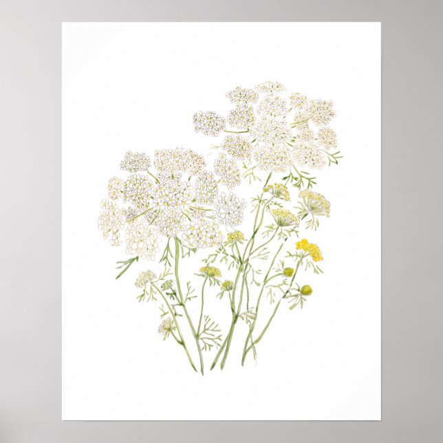 Póster Tinta Queen Ann Lace y pintura acuarela (Frente)