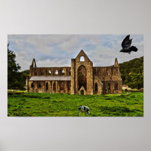 Póster Tintern Abbey Cistercian Monasterio Pastoral Escen