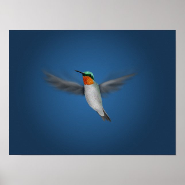 Póster Tiny Illustrated Hummingbird (Frente)