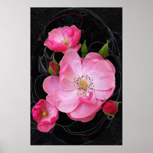 Póster tiny rosebud opens