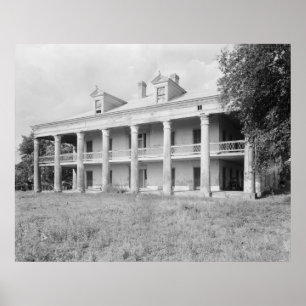 Póster Tío Sam Plantation