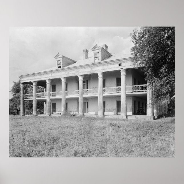Póster Tío Sam Plantation (Frente)