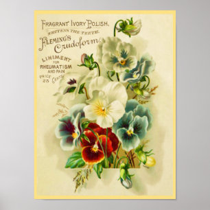 Póster Tipografía de época y flores de panza decorativas