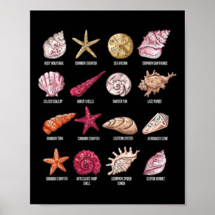 Póster Tipos De Aguas Marinas Que Protegen A Conch Sea Sh