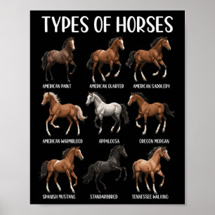Póster Tipos de Caballo Shirt Gracioso Raza de Caballo